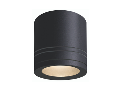 LITHO 9W Round Can Light