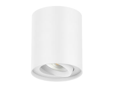 TEMPO 10W Round Can Light