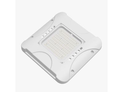 LAWSON MK-II 180W Canopy Light