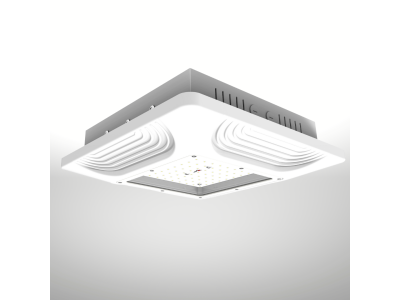 LAWSON MK-II 150W Canopy Light